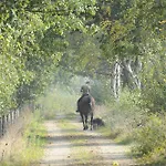 酒店 Fletcher Bosrijk