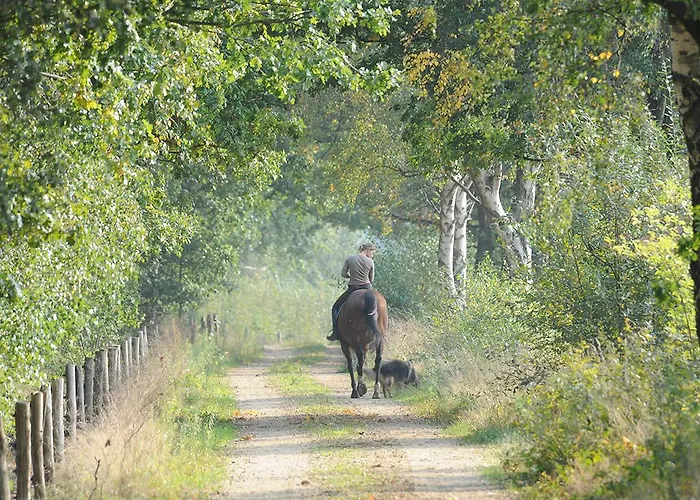 Hotel Fletcher Bosrijk Roermond