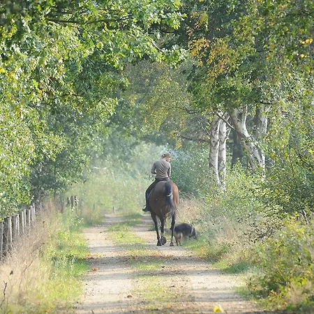 酒店 Fletcher Bosrijk 鲁尔蒙德