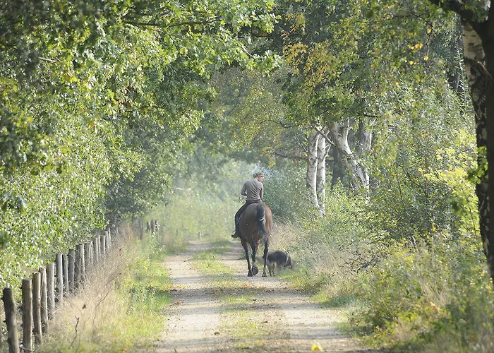 Отель Fletcher Bosrijk